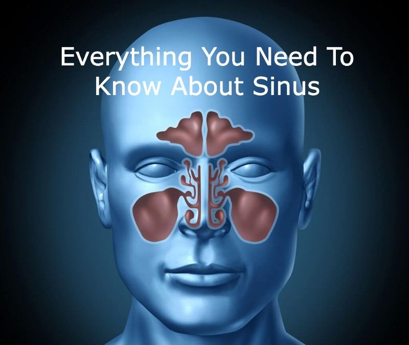 Everything You Need To Know About Sinus